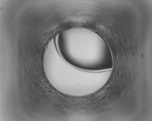 X0000060281061200510281005