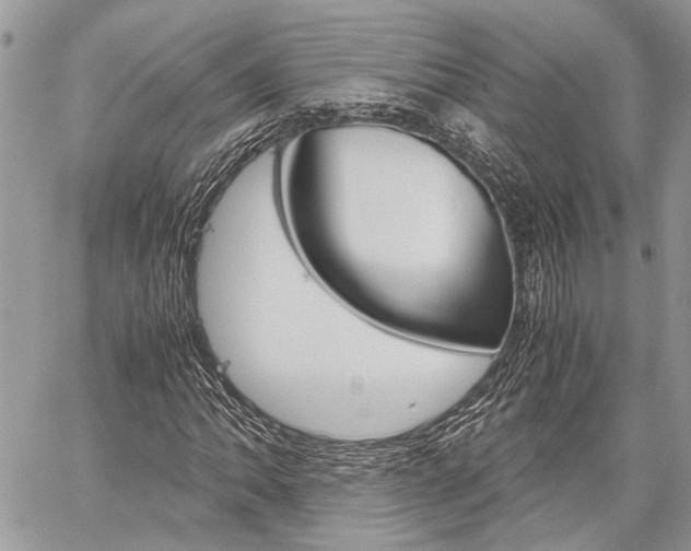 X0000060281062200510281005
