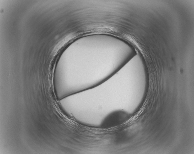 X0000060281071200510281005