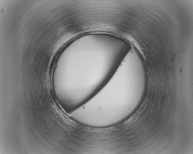 X0000060281072200510281005