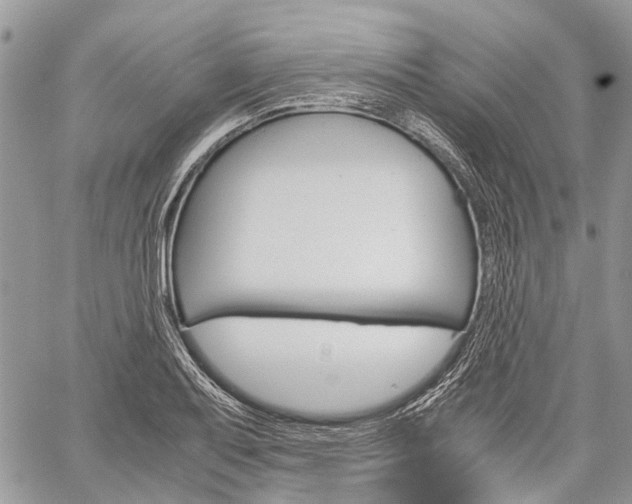 X0000060281079200510281005