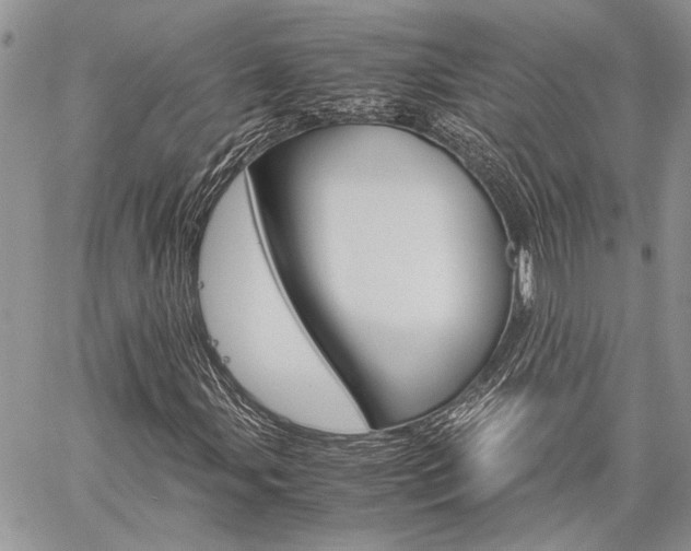 X0000060281107200510281004