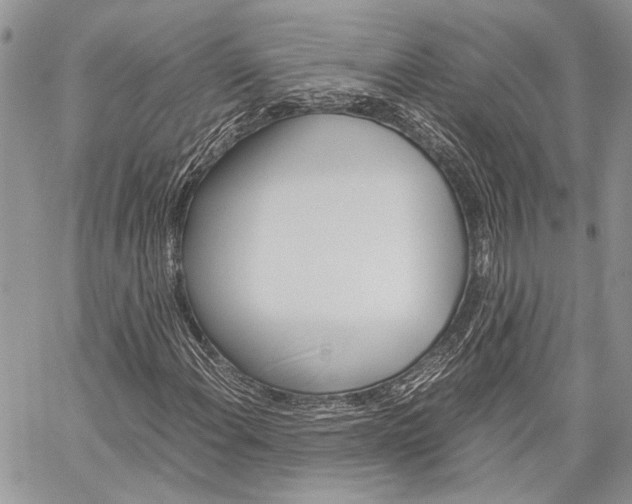 X0000060281108200510281004