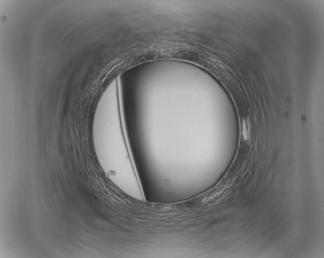 X0000060281155200510281004