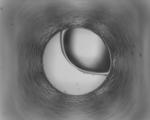 X0000060281156200510281004