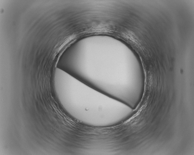 X0000060281162200510281004