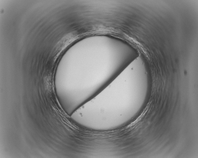 X0000060281170200510281003