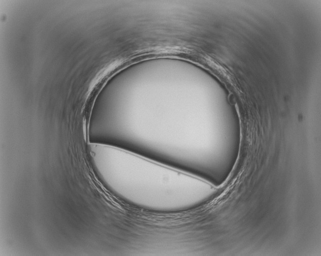 X0000060281171200510281003