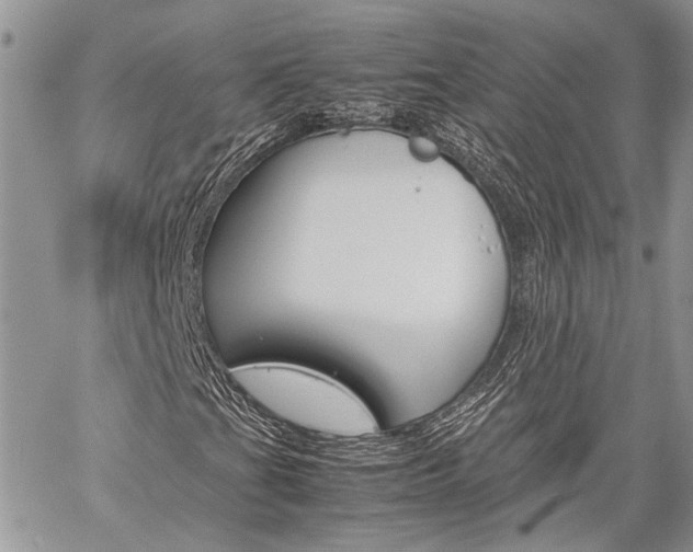 X0000060281201200510281002