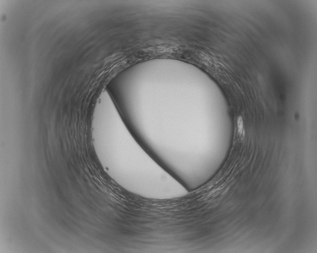 X0000060281203200510281002