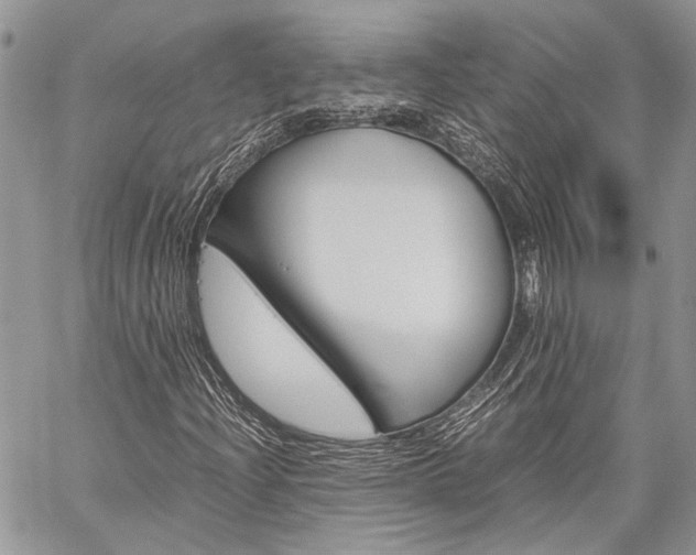 X0000060281204200510281002