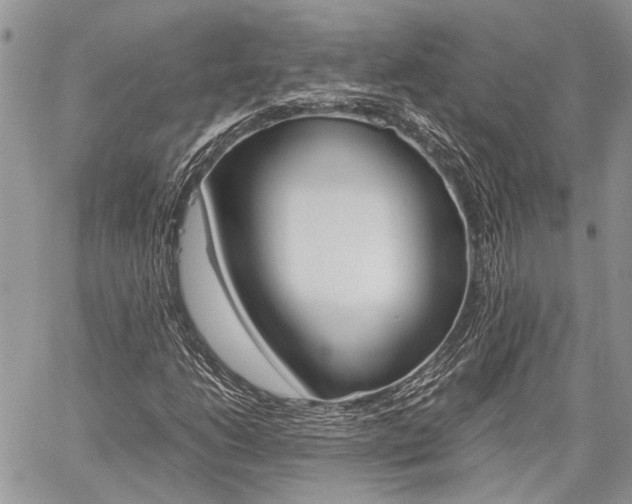 X0000060281206200510281002