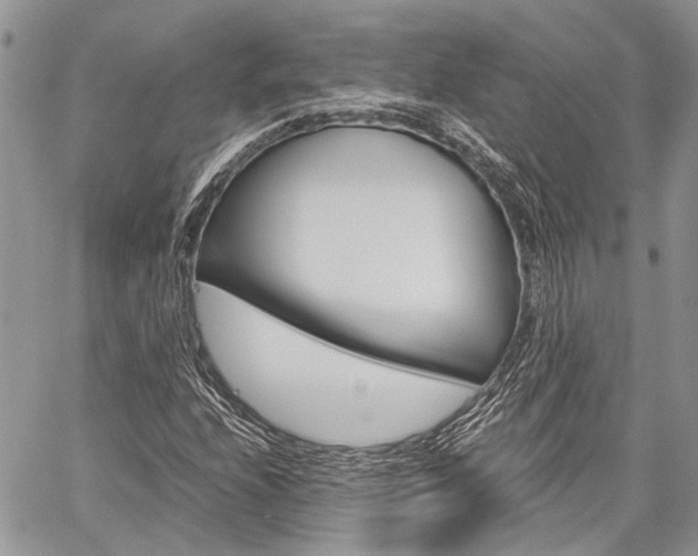 X0000060281208200510281002
