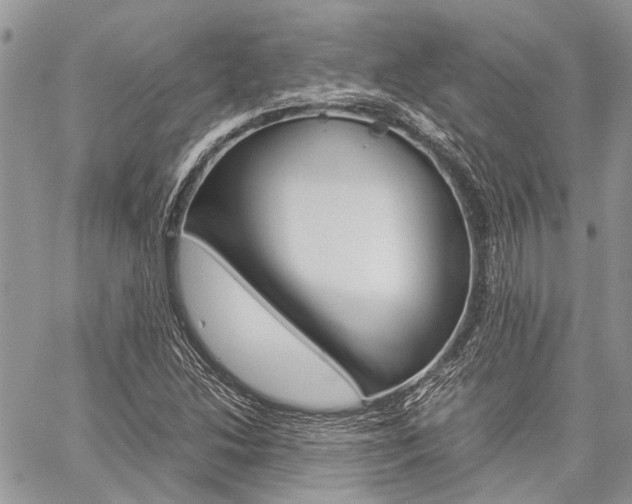 X0000060281214200510281002