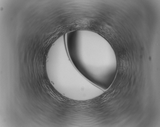 X0000060281250200510281002