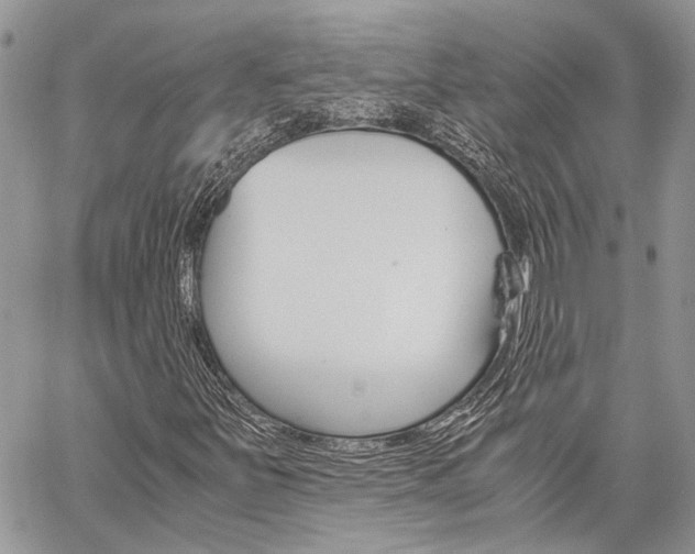 X0000060281251200510281002