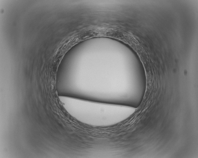 X0000060281253200510281002