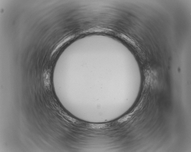 X0000060281258200510281002