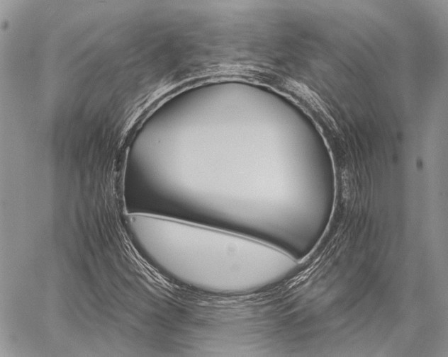 X0000060281260200510281002