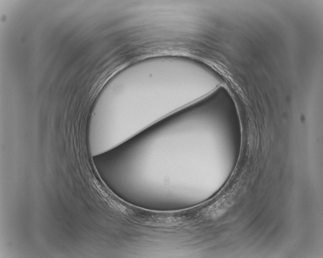 X0000060281273200510281002