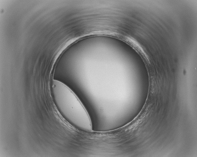 X0000060281284200510281002