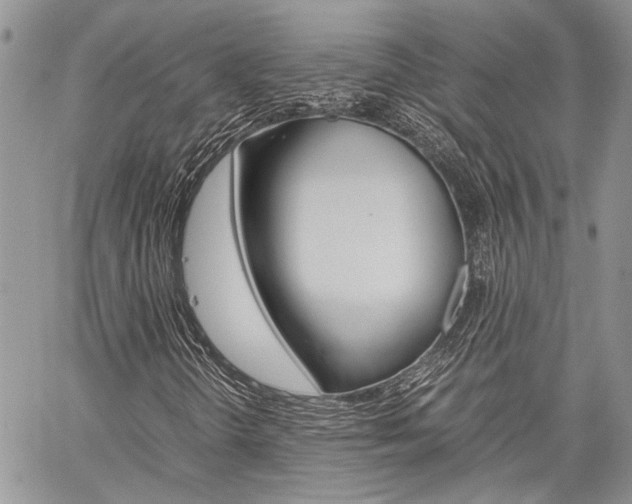 X0000060281298200510281001