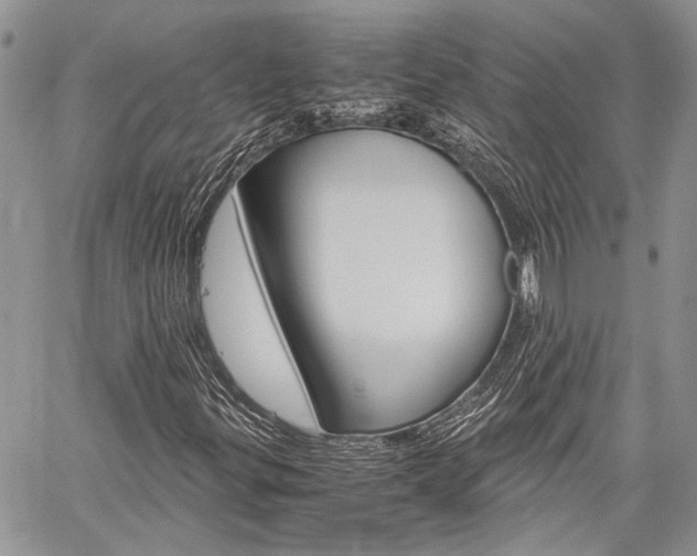 X0000060281299200510281001