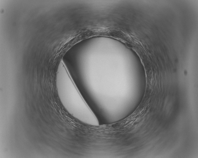 X0000060281301200510281001