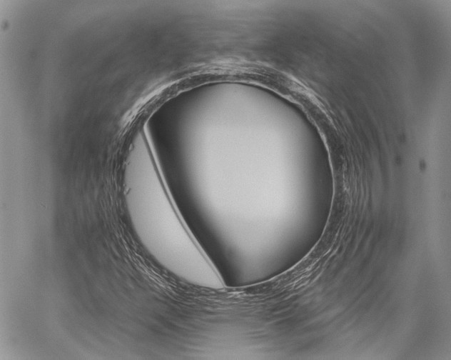X0000060281304200510281001