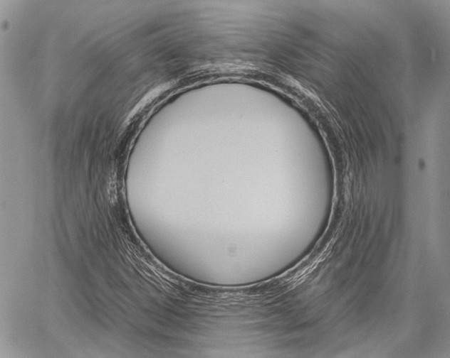 X0000060281306200510281001