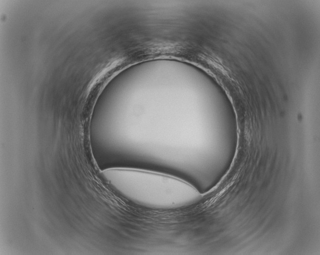 X0000060281309200510281001