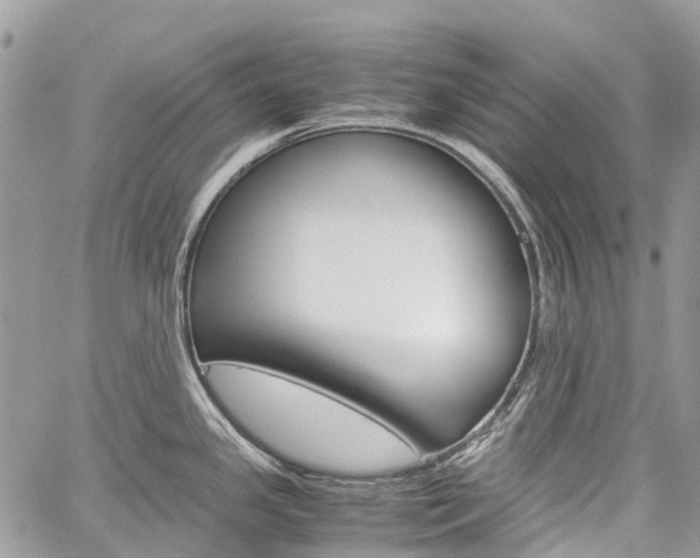 X0000060281341200510281001