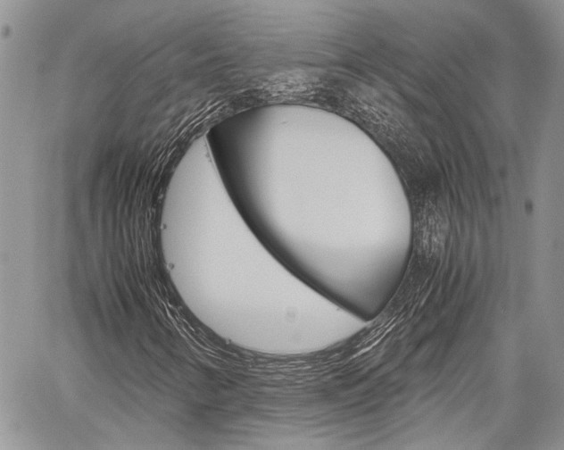X0000060281346200510281001