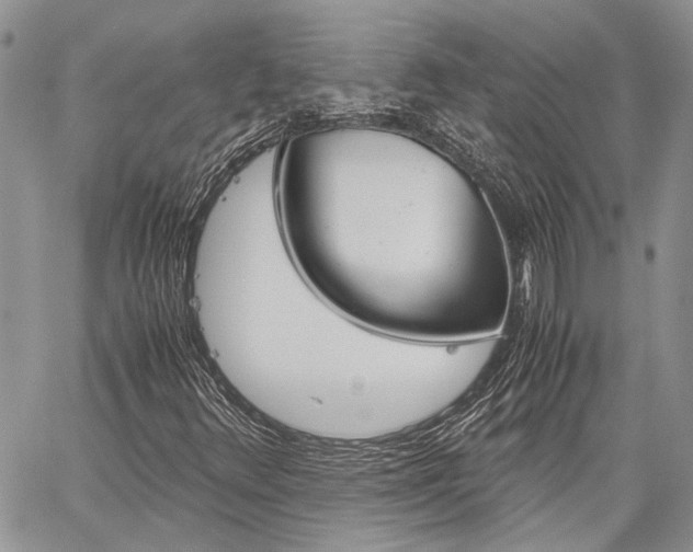 X0000060281348200510281000