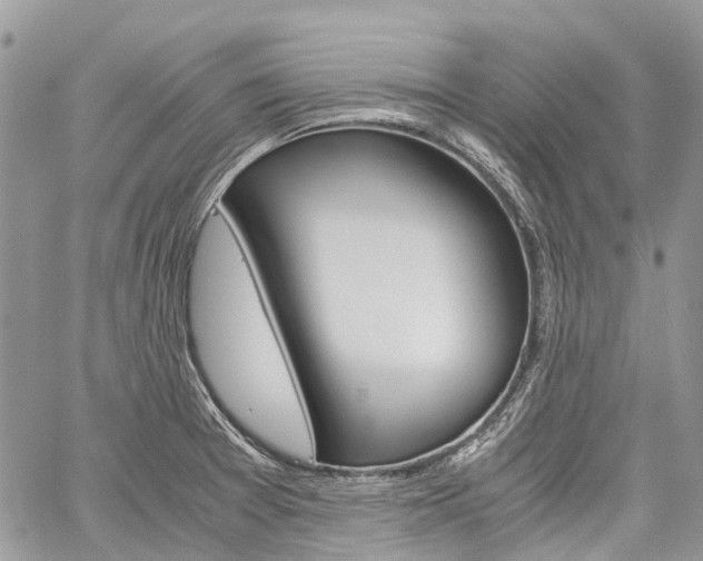 X0000060281377200510281000