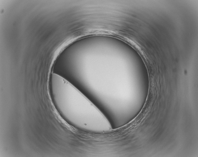 X0000060281379200510281000