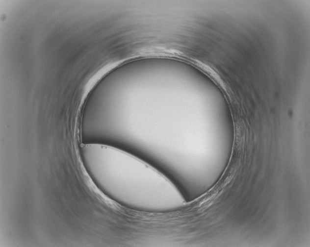 X0000060281387200510281000