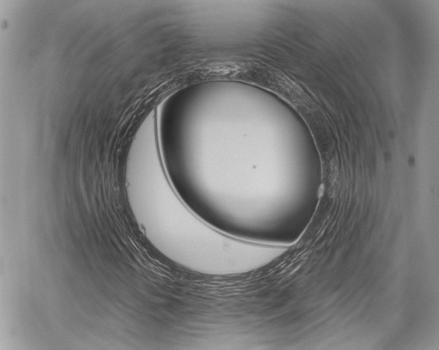 X0000060281394200510280959