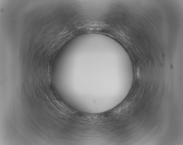 X0000060281396200510280959