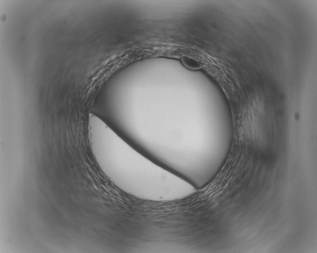 X0000060281397200510280959