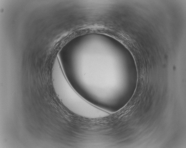 X0000060281398200510280959