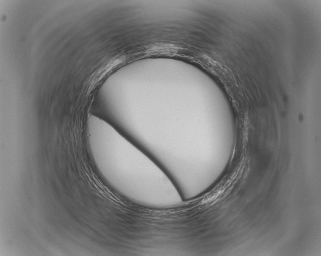 X0000060281401200510280959