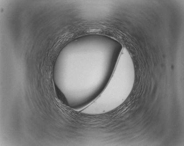 X0000060281441200510280959