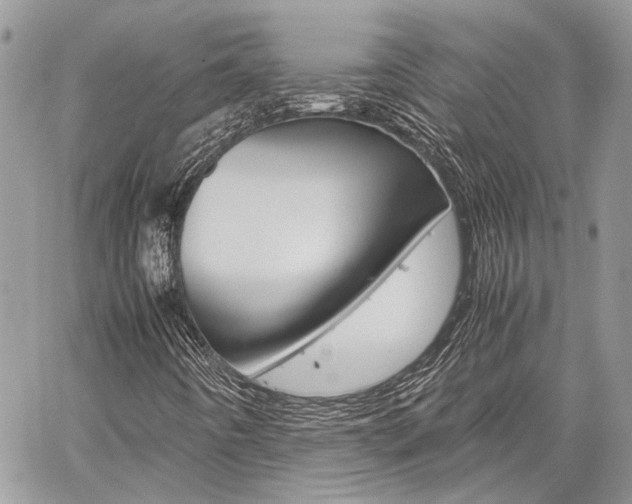 X0000060281442200510280959