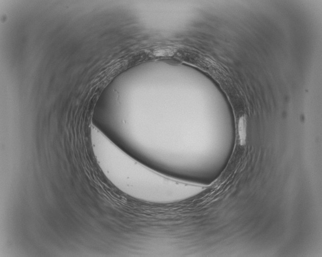 X0000060281443200510280959