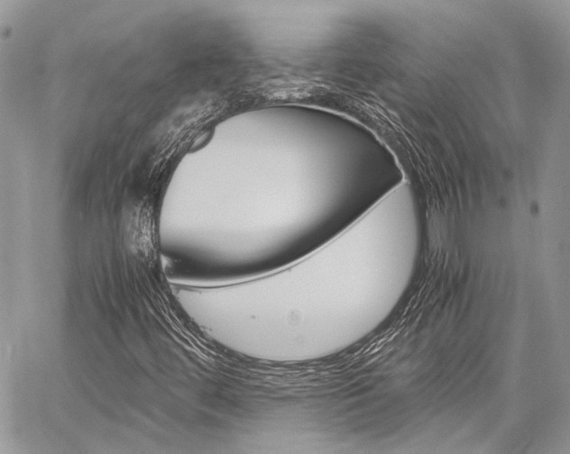 X0000060281444200510280959