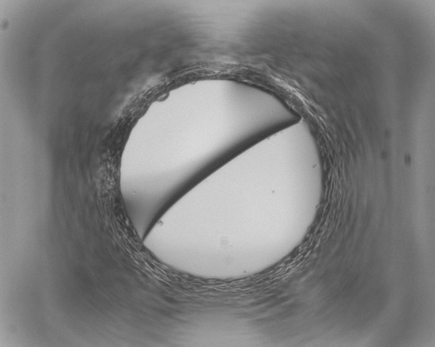 X0000060281447200510280959