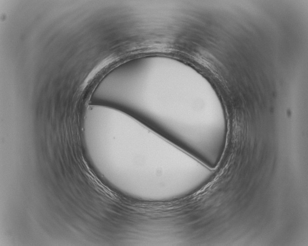 X0000060281450200510280959