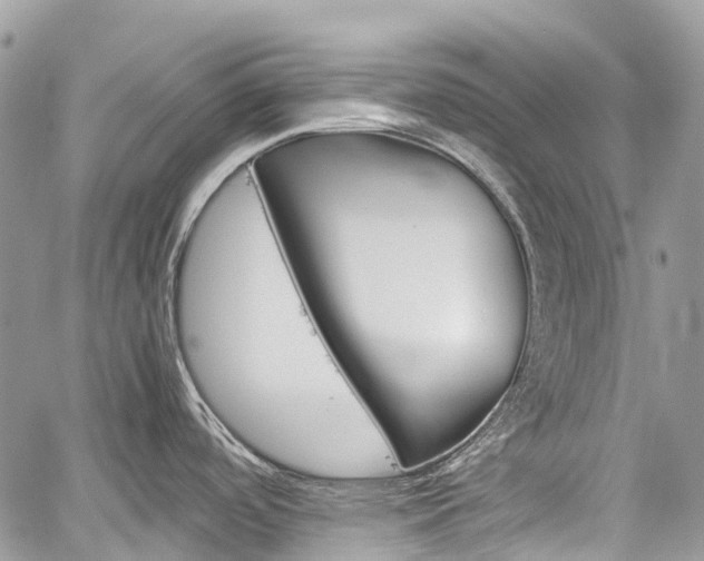 X0000060281488200510280958