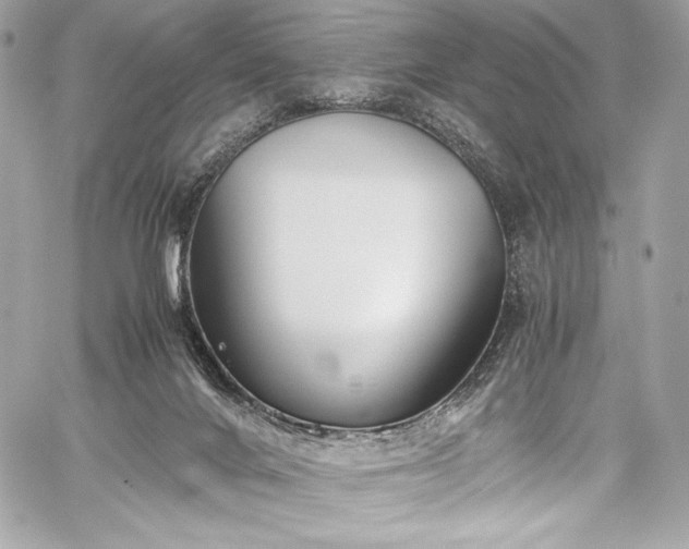 X0000060280024200510281243